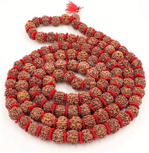 Brown Rudraksha Siddha Mala Size Mm Shape Round At Rs In Mathura