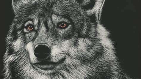 Drawing Ideas Wallpapers Amazing Collection Of Wolf