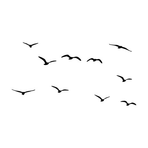 Beautiful Flying Birds Silhouette Bird Silhouette Bird Vector Flying