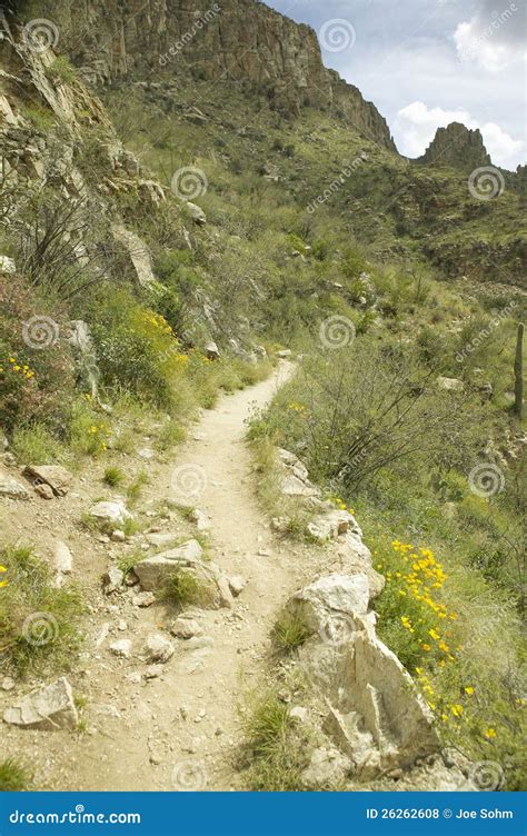 A Hiking Path Stock Photo Image Of Scenic Travel North 26262608