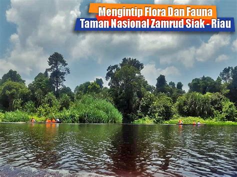 Kawasan Suaka Alam Dan Taman Wisata Nasional Tempat Wisata Indonesia