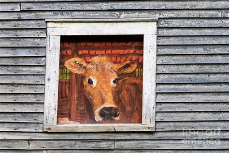 Barn Window Art Photograph By Alan L Graham Fine Art America