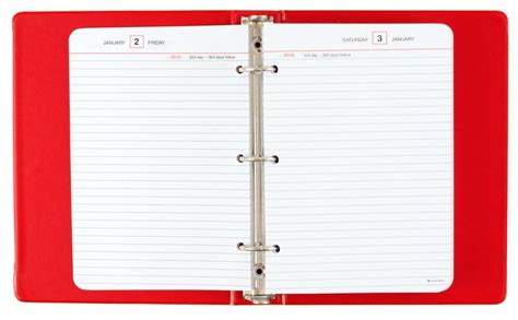 At A Glance Standard Diary Loose Leaf Refillable Daily