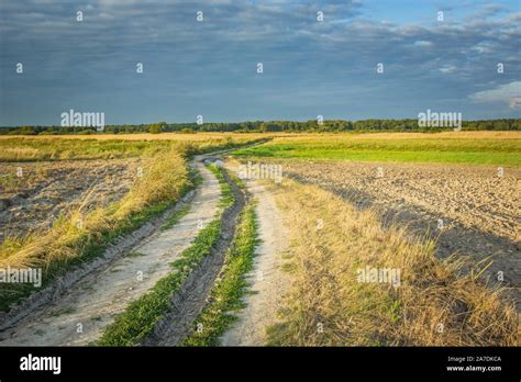 Country Dirt Road Through Fields Horizon And Dark Evening Clouds Stock