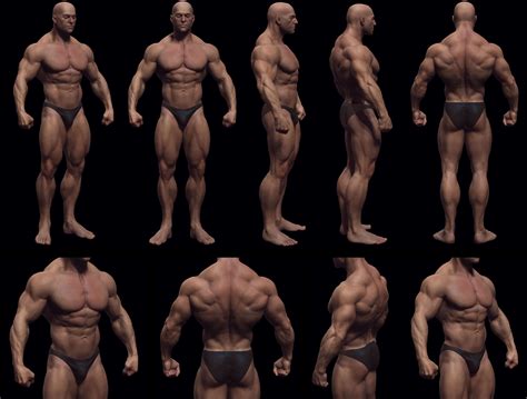 Image Result For Male Muscle Reference Zbrush Anatomy Anatomy