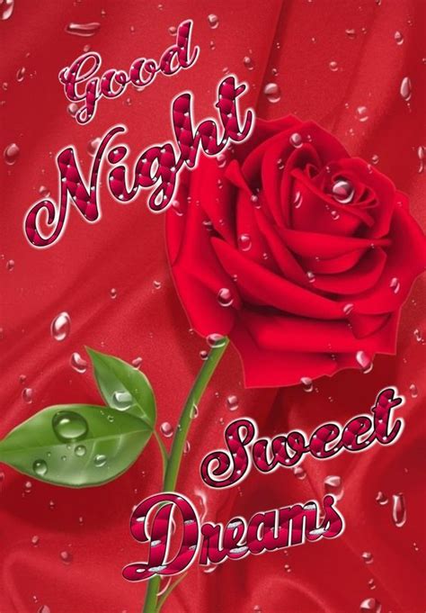 Wet Rose Good Night Sweet Dreams Pictures Photos And