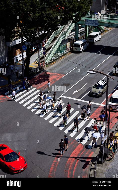Pedestrians On Zebra Crossing Meiji Dori Shibuya Tokyo Japan Stock