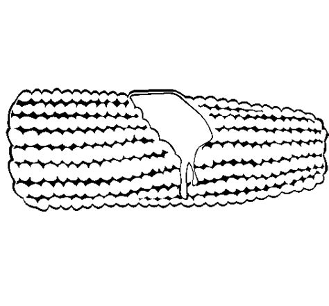 Álbumes 97 Foto Imagenes De Elotes Animados Para Colorear Mirada Tensa