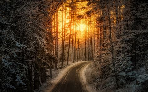 Nature Landscape Sunrise Sunlight Road Winter Forest Snow Trees
