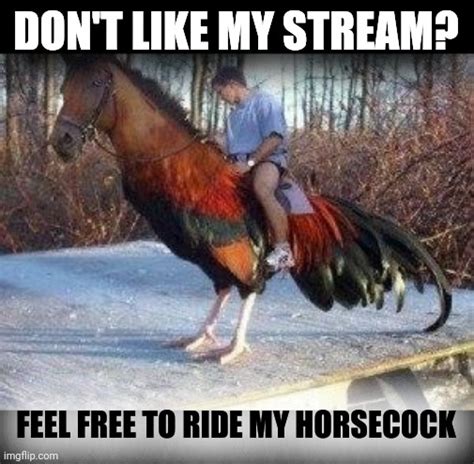 Horsecock Imgflip