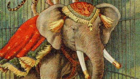 The Tragic Execution Of Mary The Elephant