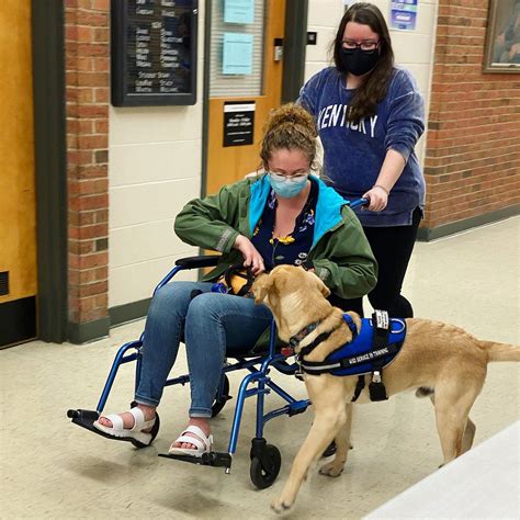 Happy National Service Dog Month Wildcat Service Dogs