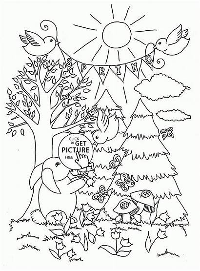 Forest Coloring Pages Adult Season Open Spring