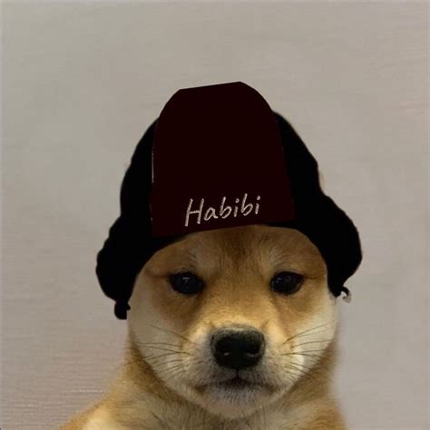 8 Likes 1 Comments Dog Wif Hat Emerlmao On Instagram “newpfp