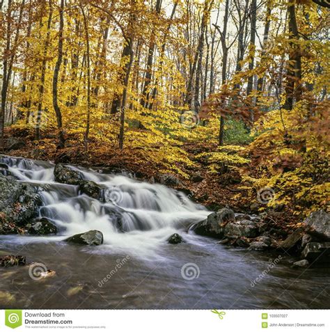 Waterfall In Autumn Forest Stock Image Image Of Season 103507027