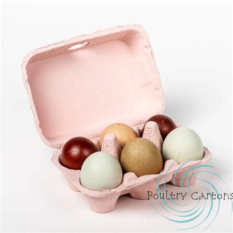 Colored Paper Egg Cartons Poultry Cartons