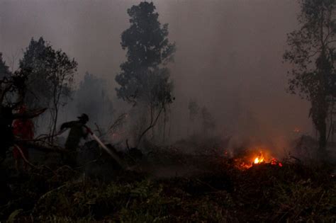 Komisi VII DPR Desak Menteri LHK Ungkap Nama Perusahaan Pembakar Hutan