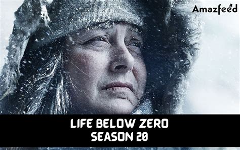 Life Below Zero Season 20 Confirmed Release Date Did The Show Finally