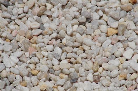 Dark purple ower of yarrum distinctive pink owers of kaspa. RIVERBED STONE