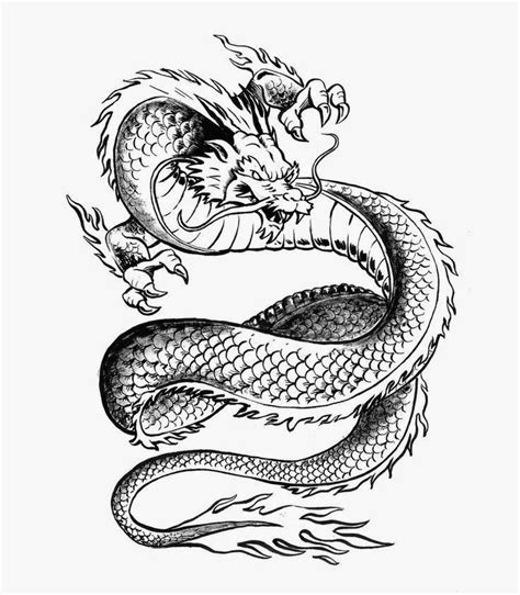 Chinese Dragon Free Tattoo Stencil Dragon Tattoo Stencil Dragon