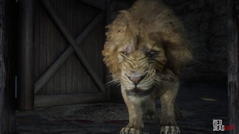Hours, address, red lion farm reviews: Lion - Red Dead Redemption 2 Animals Species & Wildlife ...