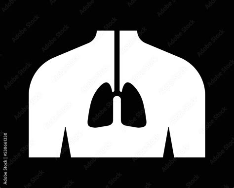 human respiratory system lungs anatomy lungs vector icon stock vector adobe stock