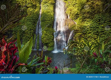 Waterfall And Exotic Plants In Tropics Cascade Waterfall In Tropical