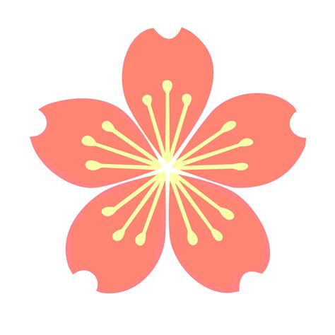 Top view of plant flower deutzia yuki cherry blossom deutzia 1 tree png with alpha channel to cutout made with 3d render. Blossom petals clipart 20 free Cliparts | Download images ...