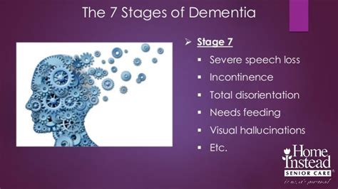 The 7 Stages Of Dementia