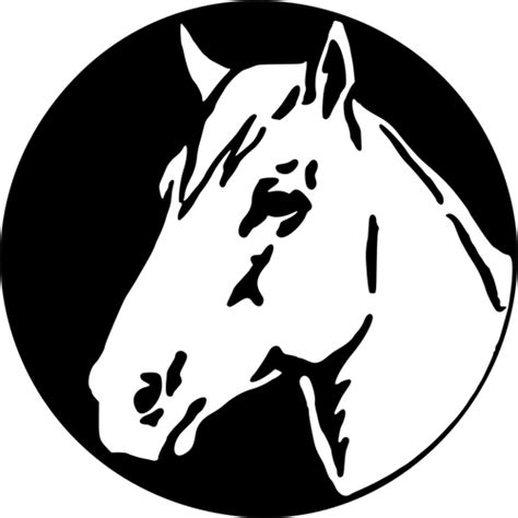 Mewarnai Gambar Sketsa Kepala Kuda Terbaru Kataucap