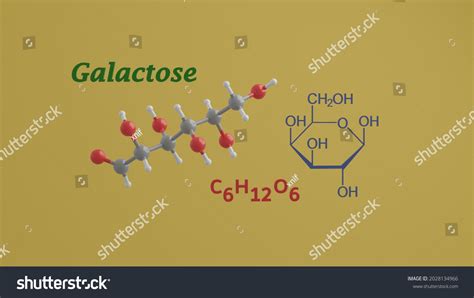Galactose Reducing Sugar Monosaccharide Science Chemical Stock