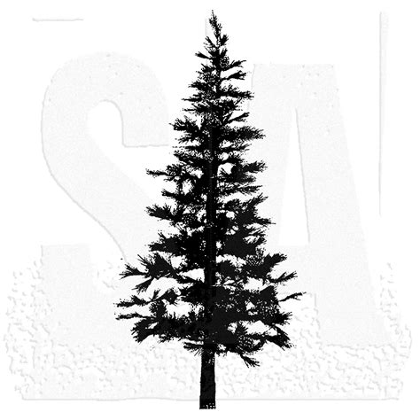 Pine Tree Outline Free Download On Clipartmag