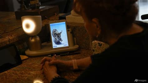 Chatty Robot Helps Seniors Fight Loneliness Through Ai Companionship Cna