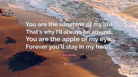 The apple of one's eye originally referred to the central aperture of the eye. Stevie Wonder Quote: "You are the sunshine of my life That ...