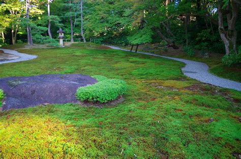 Yoshikien Garden Nara Japan Experience