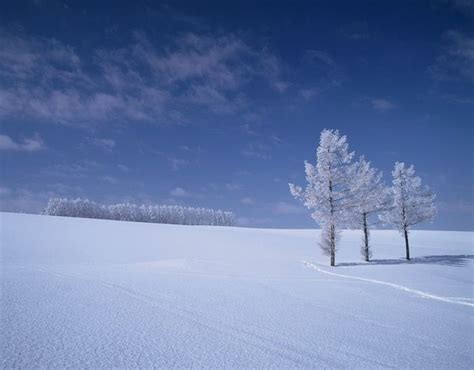 Hokkaido Winter The Real Japan Real Japan Japan Landscape