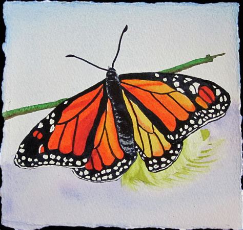 Butterfly Painting By Teresa Beyer