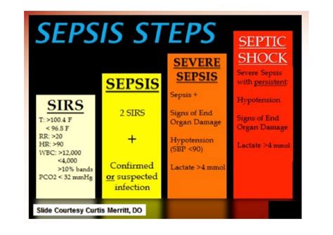 Sepsis vs septicemia these two terms are very technical. Sepsis 05 12 definitief