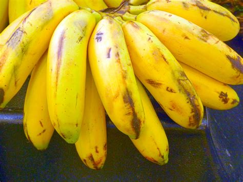 Bunch Of Plantains Free Stock Photo Public Domain Pictures
