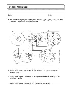 Mitosis Worksheet Fill And Sign Printable Template Online