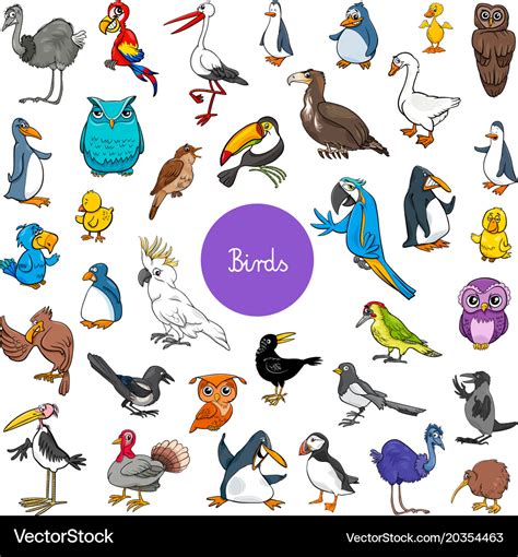 Bird Cartoon Characters