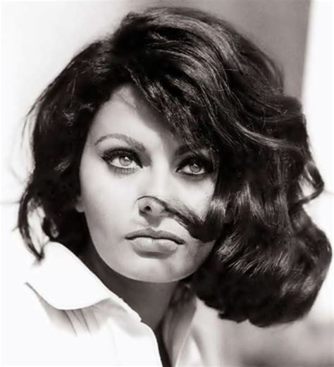 Sofia Loren Sophia Loren Portrait Old Hollywood
