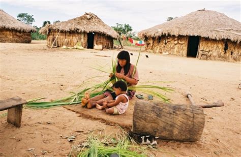 Formas De Aprender Povos Indígenas No Brasil Mirim