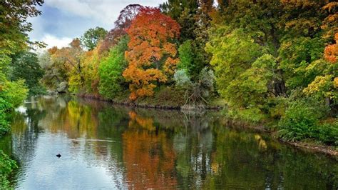 14 Best Train Rides For Spotting Fall Foliage In The South Train