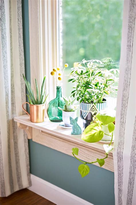 10 Hanging Window Sill Planter