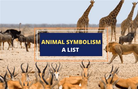 Animal Symbolism An A To Z Guide Symbol Sage