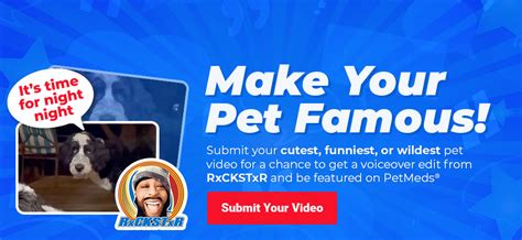 Make Your Pet Famous