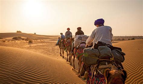 He was looking at his reflection in water. Indian Hump Days: A Remote Camel Safari in the Thar Desert ...