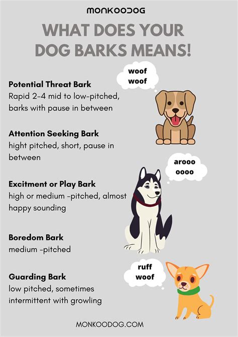 Did You Know What Is Your Dog Trying To Convet To You When He Barks