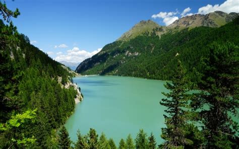 Landscape View Of Green Trees Covered Mountains River Under White